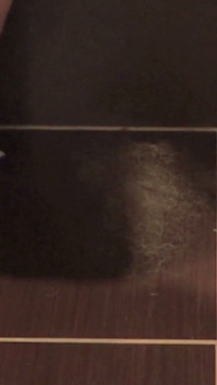 My Mature Wife Trims Her Hairy Pussy and Collects the Pubic Hair.