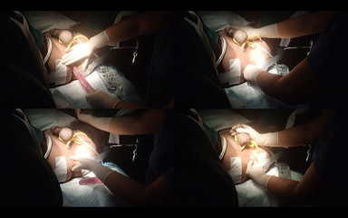 Lydia Privat: Extrémně je díra uživatele