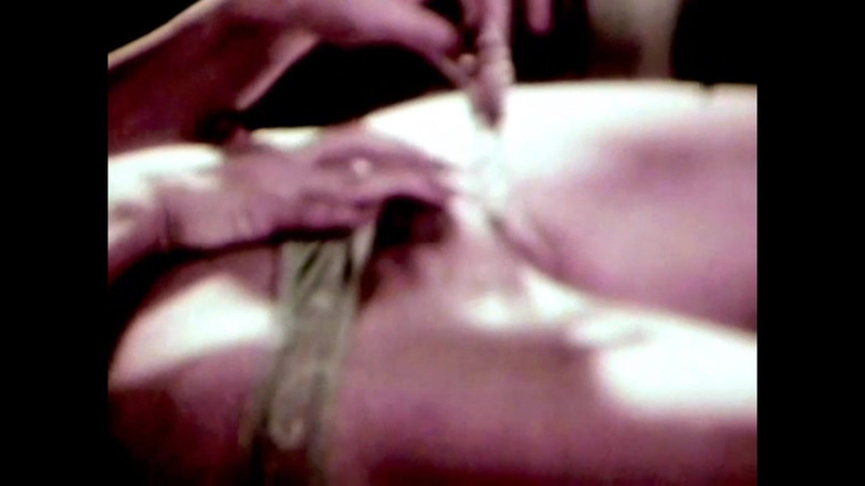 The Unforgettable: The Wild Colt