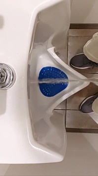 Taking a Piss at a Urinal - the Pissing Collection!