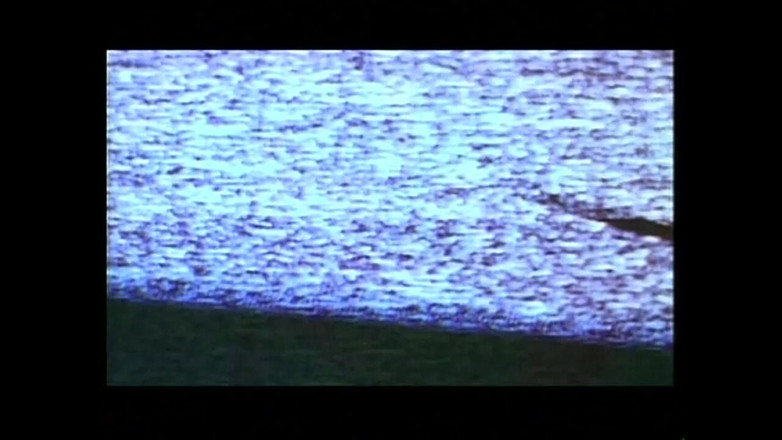 The hunters TV - (The best full movies xxx): Ava, a Selvagem