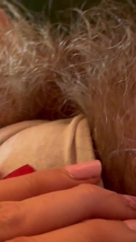 Pies grandes y arbusto peludo en bragas