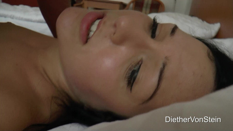 Diether Von Stein: Junge Zuchstute Bettel Geschwängert Zu Werden