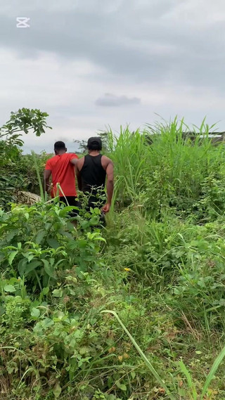 Sexypeller: 야외 쇼킹