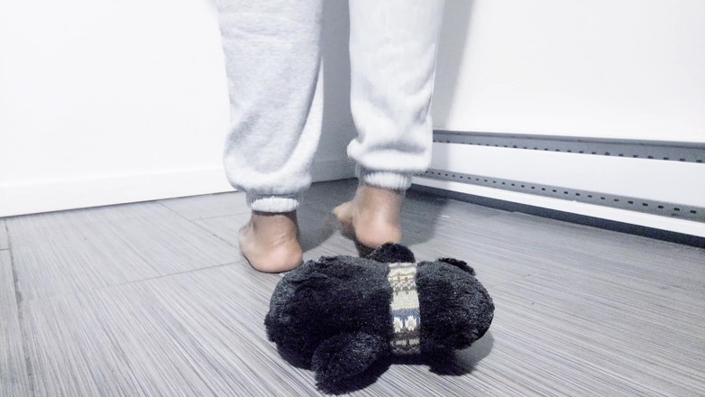 Soft Soleman: ぬいぐるみで裸足で遊ぶ (2025)