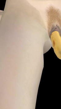 Animated 3D Porn - Very Beautiful Girl Masturbating with Banana Till Orgasm