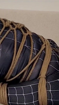 Spider-man byl chycen