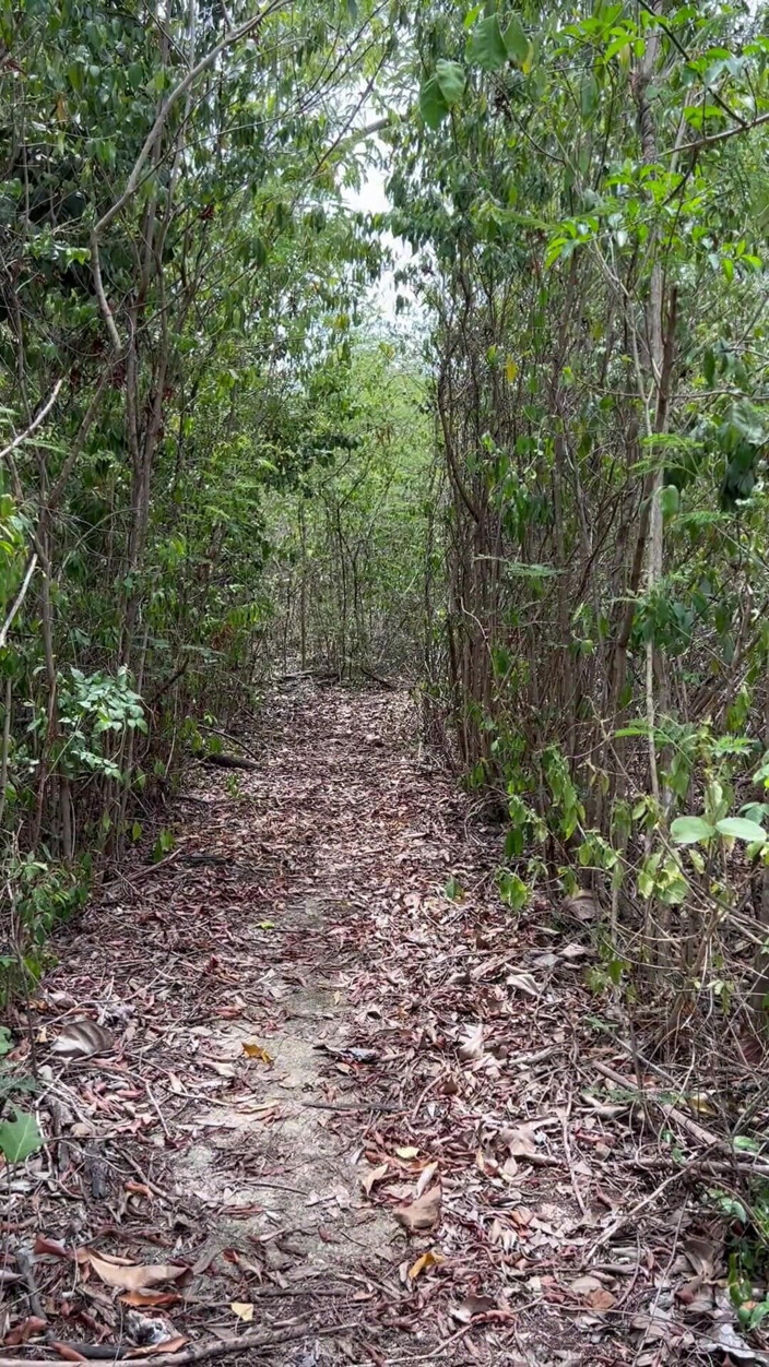 ortizjona: Mendaki di hutan dan taman ditinggalkan masturbasi sampai muncrat ortizjona /...
