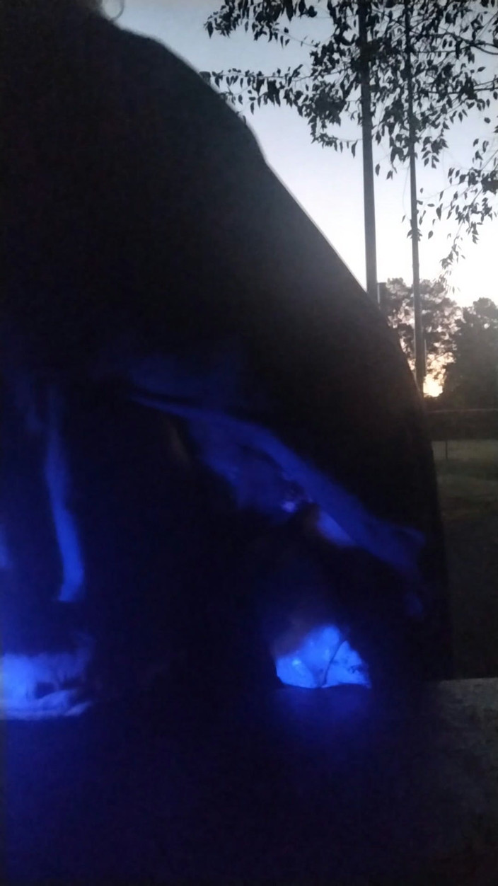 SissySlutUsed: Si cewek nakal ini lagi asik muasin memeknya pakai dildo...