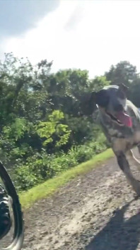 In Bici Con Perizoma E Scopata All'aperto