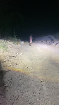 Anne Steele Nude Flashing on Road