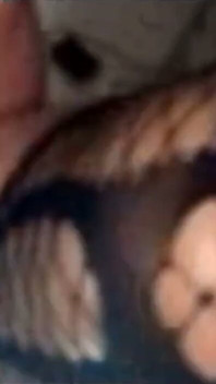 hot milf(chodne laayak mammi) phuhaar chhorne ka sankalan aapko viry ko ovar aur ovar kar dega.
