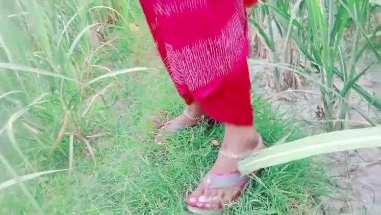 Bk Vlogs: Berkongkek dengan adik ipar Bihari di hutan