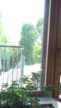 Süße bonnie dolce kommt unglaublich hart!