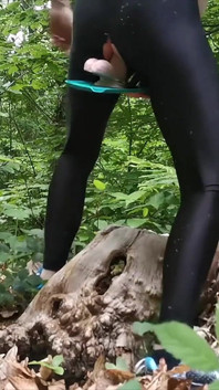 Fahrrad im Wald