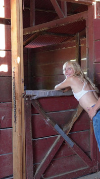 I Got Bred in the Barn