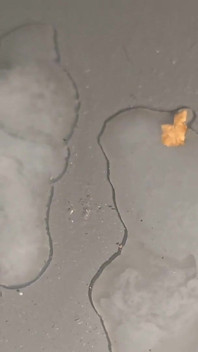 Breaking My Dick After an Extremely Hot Orgasm!!!