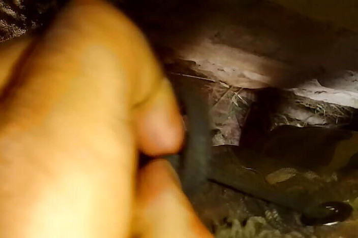 Gangbang straight: L'homme de Séoul fait pipi