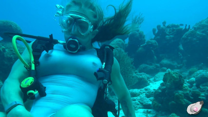 Mistress Pink Pearl: Bersendirian Time di Bonaire