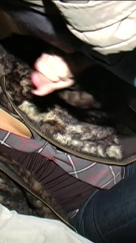 Teen Slut Ashley Rider Goes Dogging to Fulfil Her Kinky Urges