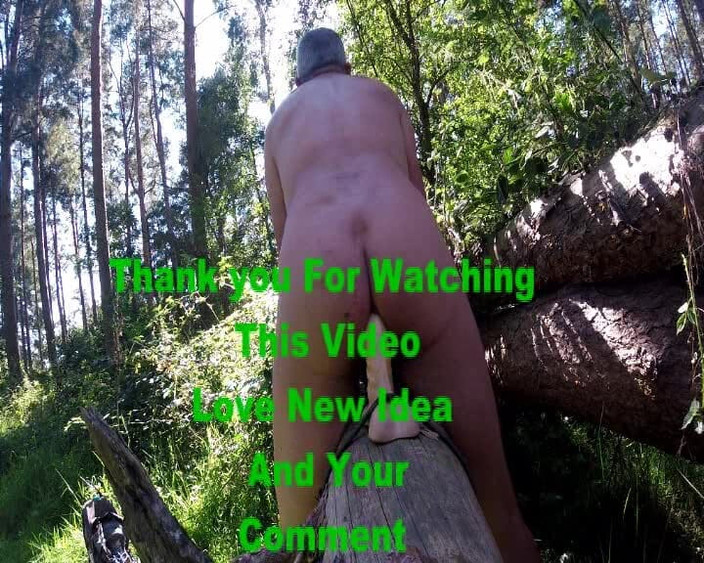 Andy: Călărește un bustean în pădure