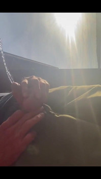 Pissing in Sunset