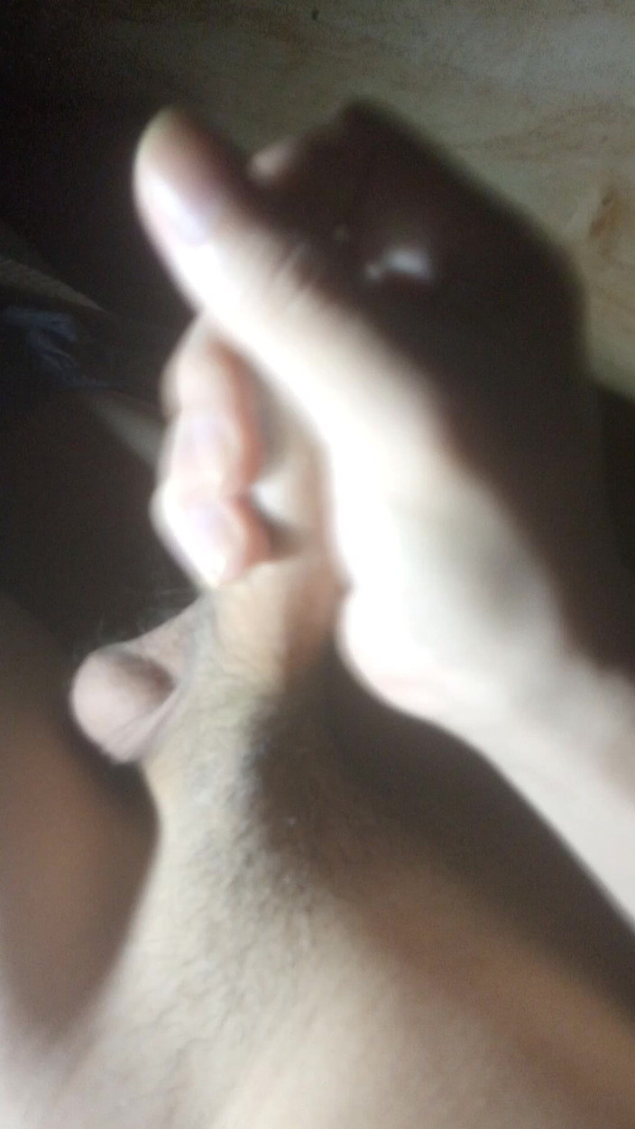 Shushu: Quickie in the Dark