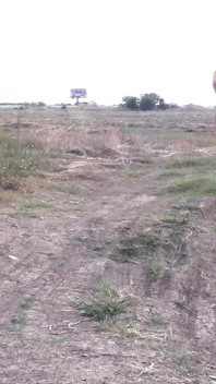A Slave Sent by His Master Onto the Highway