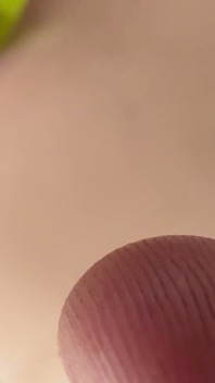 Kéž bych měla takového ptáka k sání, přála bych si dosáhnout svého