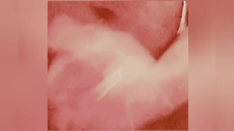 David Harden: Сольна мастурбація в Монреалі