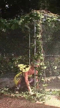 Orgie et désir avec des femmes baisant des grosses bites n ° 7 - les meilleures actrices