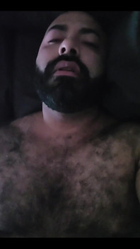 Bear Alone