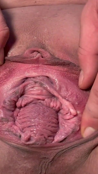 Pussy Spread zblízka celní video pro fanouška