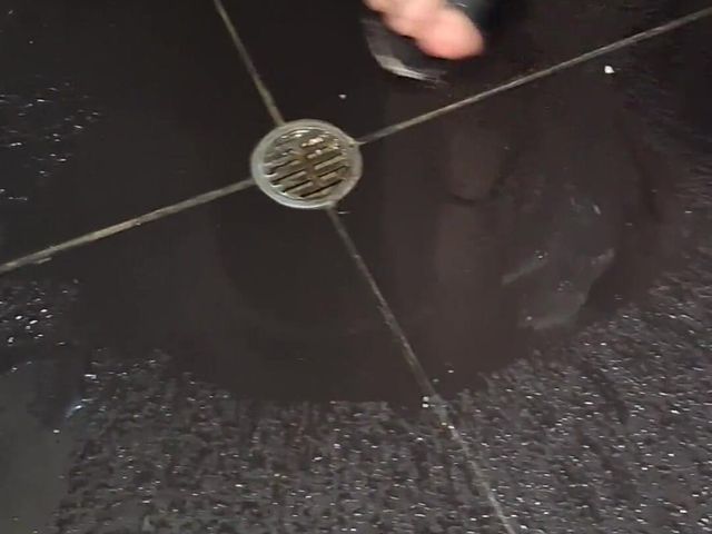 My Stepsister Pees Standing up (Agnes Swallow)
