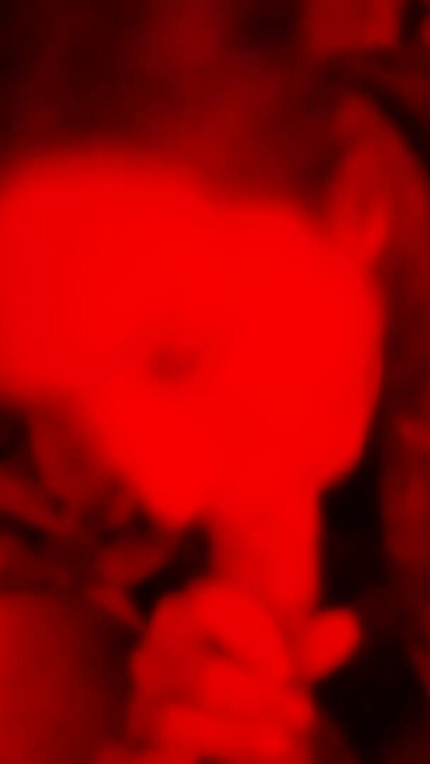 Marian sofar: Tốt nhất khi bú cu!!