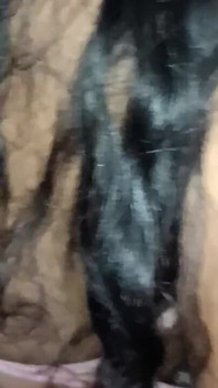 Indian Sexy Girl HD Hot 4K Videos Housewife