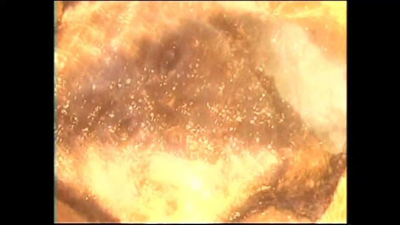 The hunters TV - (The best full movies xxx): Jill dan kristi bermain di gua (film)