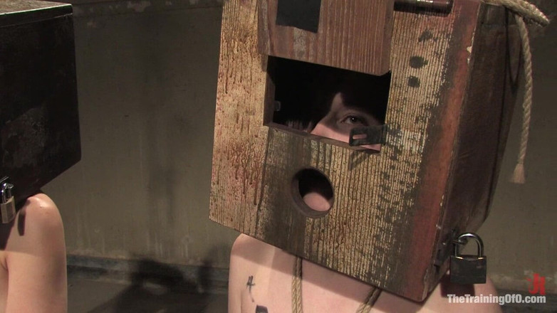 The Training of O by Kink: Audity část třetí