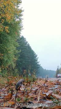 Risky Outdoor Cumshot by the Busy Road