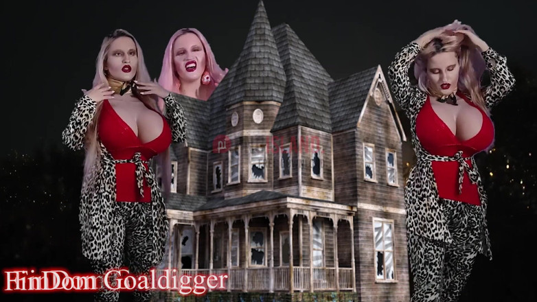 FinDom Goaldigger: Fantastyczna transformacja