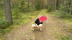 Lady Rose pee pee: Golden Rain 24 - danza divertente.