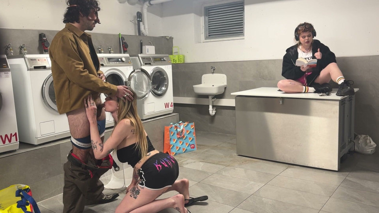 yukinky: Two Big Dogs in the Laundromat