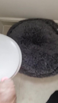 모든 땀,