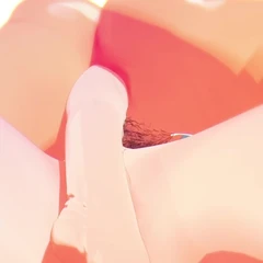 Overflow Breast (waria futa)