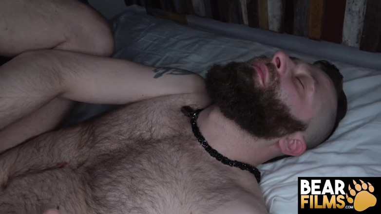Bear Films: Bearfilms Donathan Dramis devorează pula sălbatică a lui Axel Hammer