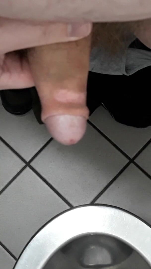 Thebavarianone: Mit schwanz in einer öffentlichen toilette spielen