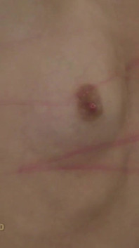 Frusta chelsy bendata
