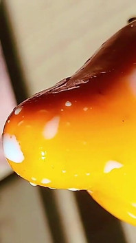 A colorida e interessante planta chinesa que perfurei para ela, sucção e maquiagem da bomba de vácuo
