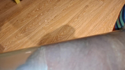 Monster_Meat_: पम्प
