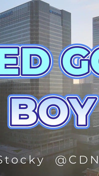 Caged Good Boy